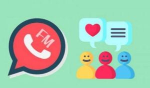 Why FM WhatsApp is the Mod of Choice for Power Users